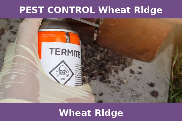PEST CONTROL Wheat Ridge